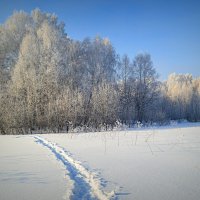 Морозный день :: Татьяна Лютаева