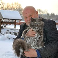Зимним днём с котом Филькой. :: Михаил Столяров