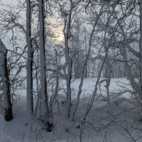 Зимний день короткий. :: Victor Nikonenko