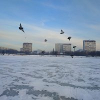 Первый день зимы 2022-2023 :: Андрей Лукьянов