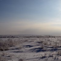 Зима в  Сары  Арке. :: Андрей Хлопонин