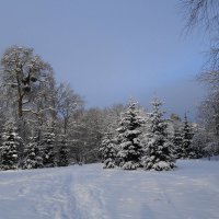Зима в парке :: Маргарита Батырева