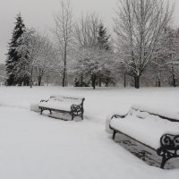 В зимнем парке :: Ирина Олехнович