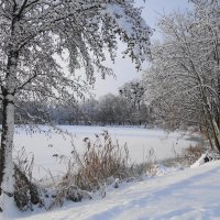 Зима :: Маргарита Батырева