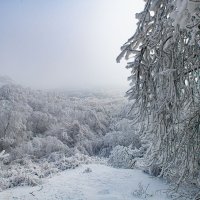 Зимушка-зима :: Евгений Михайленко