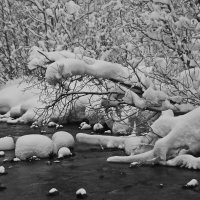 Морозно, тихо , снег лежит, ни ветерка. :: Ирина Нафаня