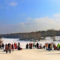 ЗИМНИЙ ОТДЫХ В ПАРКЕ КУЗЬМИНКИ :: Валентина 