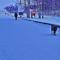Зима..Бульвар.Пешеходы- люди и пес! :: Владимир 