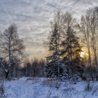 Короток зимний день :: Сергей Цветков