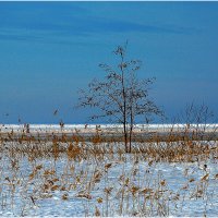 Побережье Белого моря. :: Валентин Кузьмин