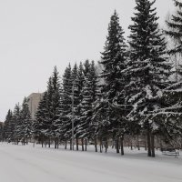 Зима . :: Мила Бовкун