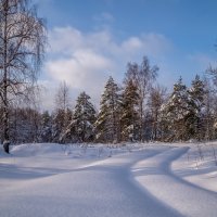Подмосковная зима # 03 :: Андрей Дворников