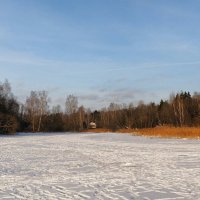 Начало нынешней зимы. :: Милешкин Владимир Алексеевич 