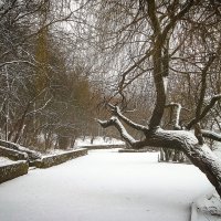 Зима :: Игорь Протасов