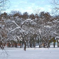 Зимний городской пейзаж. :: Александра Климина