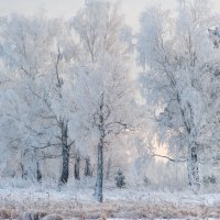 Зимняя стужа. :: Вадим Басов