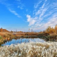 Осень, пруд, овёс и небо... :: Mikhail Irtyshskiy