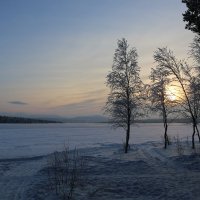 Зима на озере :: Ольга 