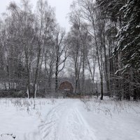 Идёт снежок неторопливо,уходит тихо старый год.Господь,пошли нам просто мира,всё остальное подождёт! :: Люба 