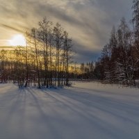 Подмосковная зима # 13 :: Андрей Дворников