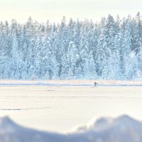 Зимняя рыбалка :: Евгений 