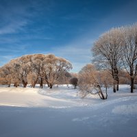 В зимнем парке... :: Сергей Кичигин