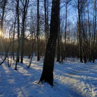 Попытка снять зимний пейзаж в январе :: Андрей Лукьянов