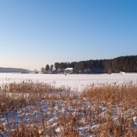 Зимнее озеро. :: Вадим Басов