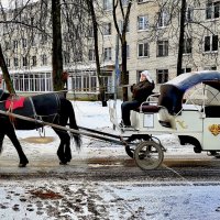 Старый транспорт вышел на линию ... :: Сергей 