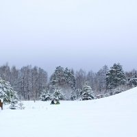 Зимний пейзаж :: Татьяна Тюменка