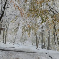Снежная осень...... :: Юрий Цыплятников
