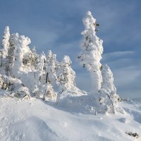 Снежные жители горы Аргыджек :: Марина Фомина.