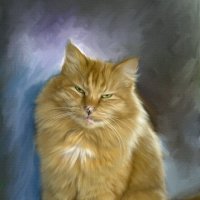 Портретик моего кота. :: Светлана Кузнецова