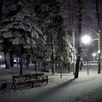 Зимний вечер в парке :: MarinaKiseleva 