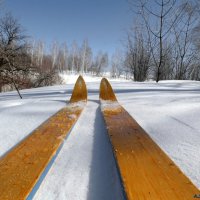 Пора вставать на лыжи! :: Андрей Заломленков (настоящий) 