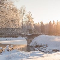 Мороз и солнце; день чудесный! :: Дарья Меркулова