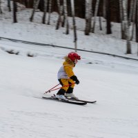 Юный горнолыжник. :: Вадим Басов