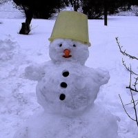 Снеговик в саду :: Людмила Смородинская