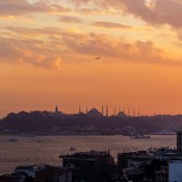 Стамбул. Вид на Султанахмет. :: Анатолий Гузенко