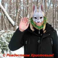 С Рождеством, православные! :: Андрей Заломленков (настоящий) 