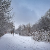 Вечер в зимнем парке... :: Сергей Кичигин