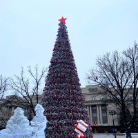 Новогодняя елка в Оренбурге :: Нина Колгатина 