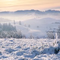 winter view :: Elena Wymann