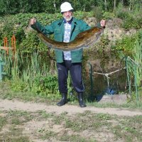 Ловись рыбка большая и маленькая! :: Владимир Никольский (vla 8137)