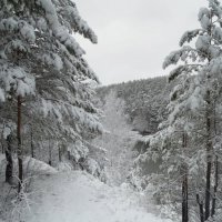 Зимняя сказка :: Александр Подгорный