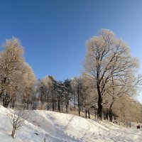 Зимний пейзаж :: Вера Щукина