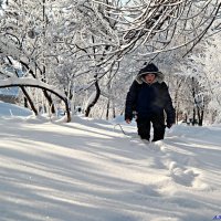 Однажды в студёную зимнюю пору я из лесу вышел... :: Андрей Заломленков (настоящий) 