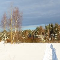 Через снежное поле :: Андрей Снегерёв