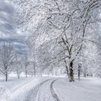 Зимняя дорога :: Юрий Лев