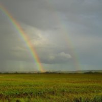 Летняя радуга. :: nadyasilyuk Вознюк